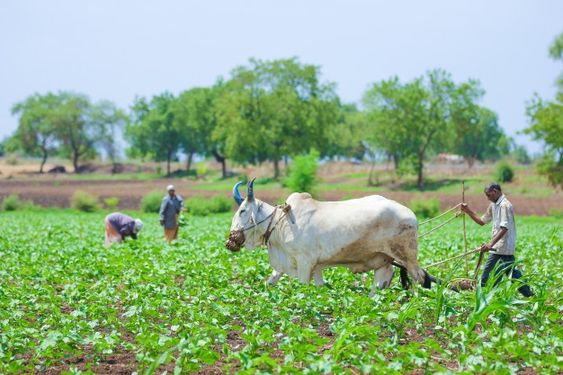 National Farmers Day